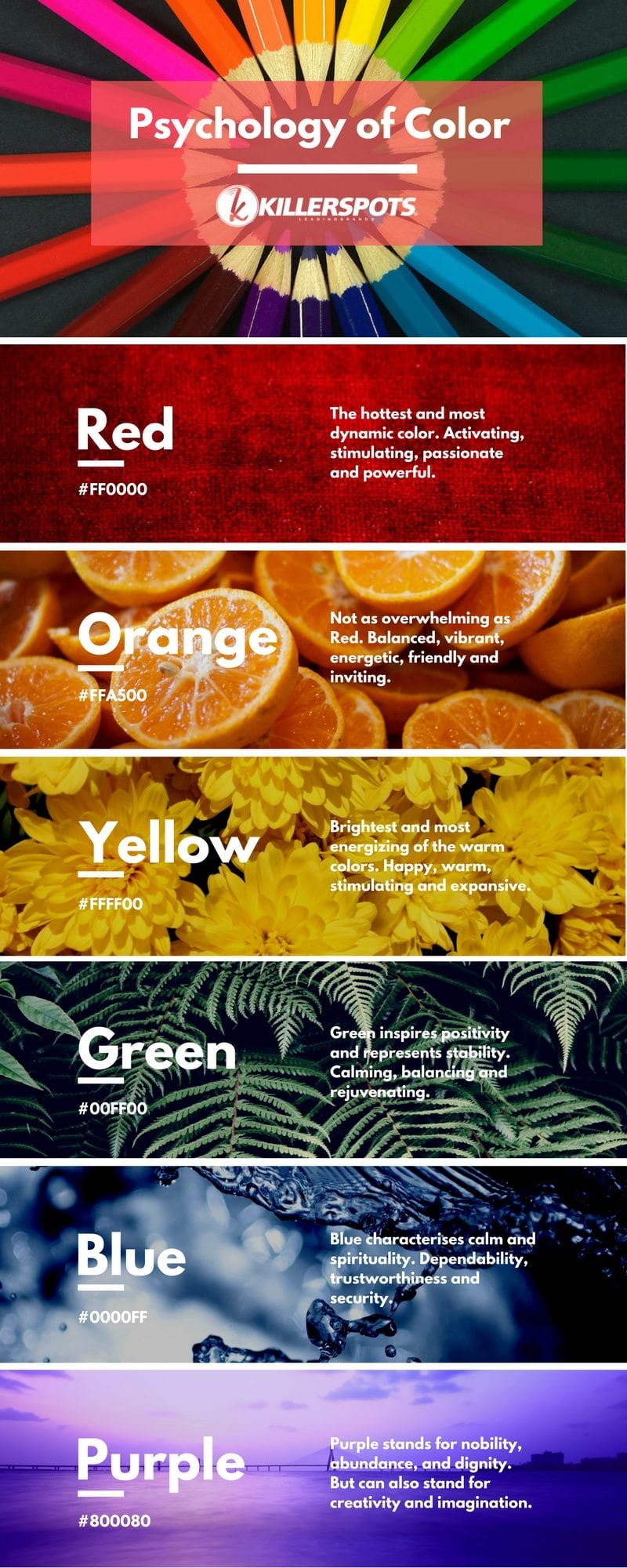 colour psychology infographic